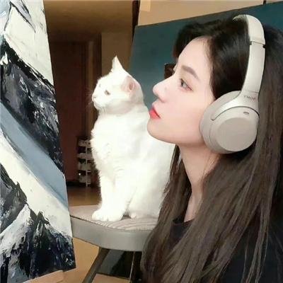 骗子2017封面